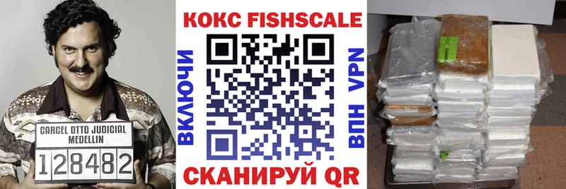 COCAIN Fish Scale купить наркоту Сланцы