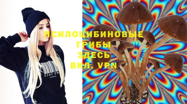 бутират Пестово