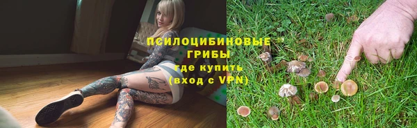 mdma Дмитров