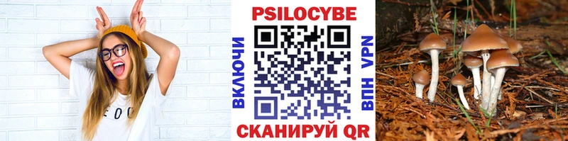 Галлюциногенные грибы ЛСД  Сланцы 