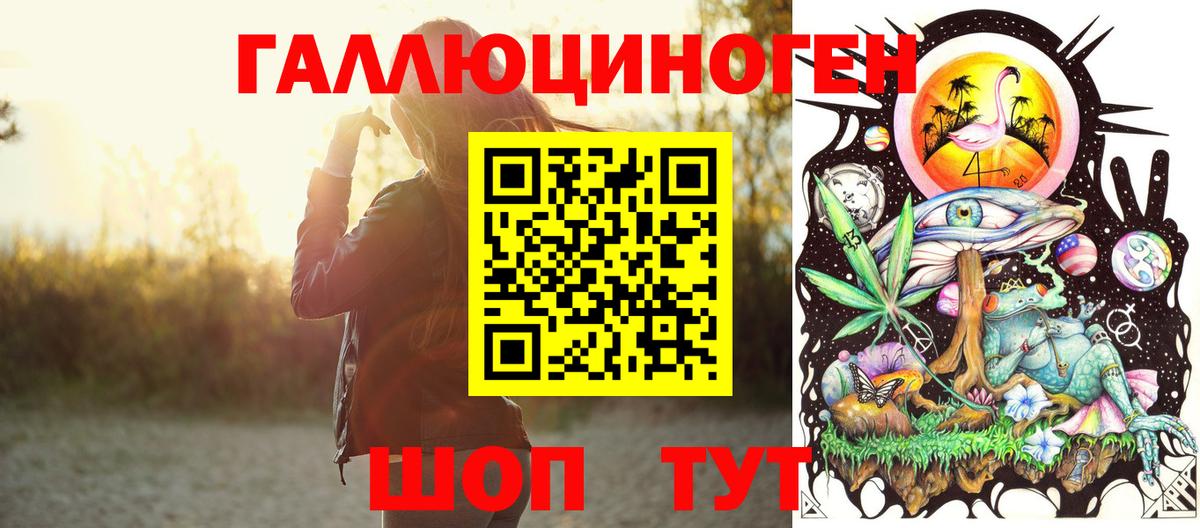 Сланцы  Галлюциногенные грибы GOLDEN TEACHER  купить наркотики сайты  Вход с VPN 