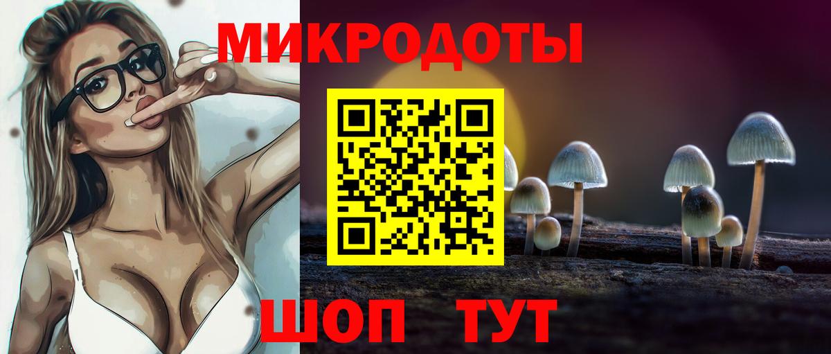 Галлюциногенные грибы GOLDEN TEACHER Сланцы
